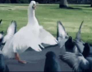 Volkslied - Gedicht,zeitkritisch