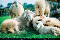 Gedanken zur Losung am 26.6.2023, -Gott ist ein Gott von dem ich 