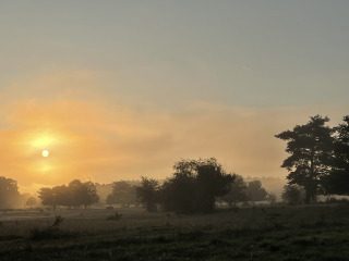 Gott, ist da - Stille,Schönheit,Schweigen,Anbeten