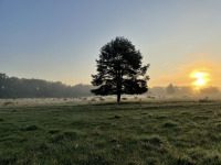 Im guten Vater - Vertrauen,nicht sorgen,an den Vater denken