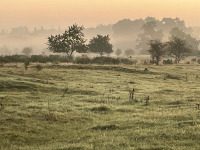 Danke Vater, danke Dir, - Unser guter Vater,Jesus