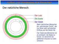 Der Geist des Gläubigen - Der Geist des Menschen,und der Heilige Geist
