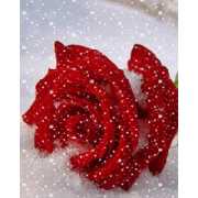 MAMA - mutter,du dich