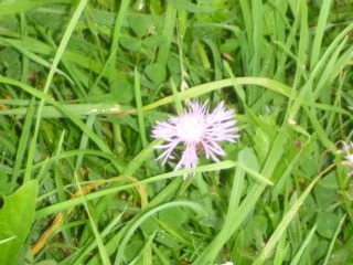 8.45 Uhr - Kaffee,gegem