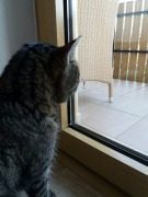 true love. - Herberge,Gastfreundschaft,Liebe,