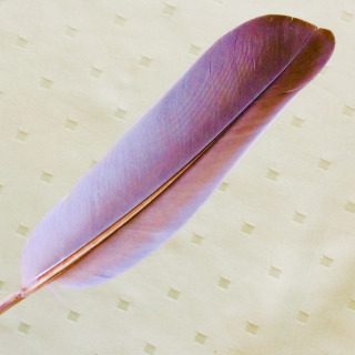 Einzigartig - Erlebnis,nachdenklich