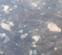 Steine im Fluss... - Steine,Fluss,schleifen,Vertrauen,Geduld