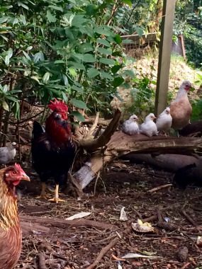 Liebe Deinen Nächste - Christsein,Familien-Problemen