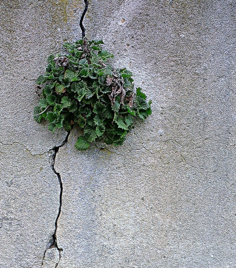 Sprengsätze: Gedanken festhalten, die tiefer gingen und gehn