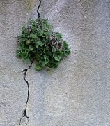 Sprengsätze: Gedanken festhalten, die tiefer gingen und gehn