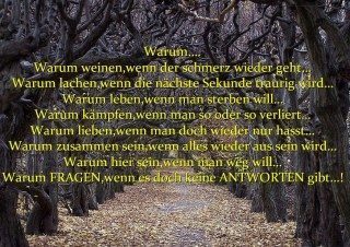 Trauerbewältigung: Alle