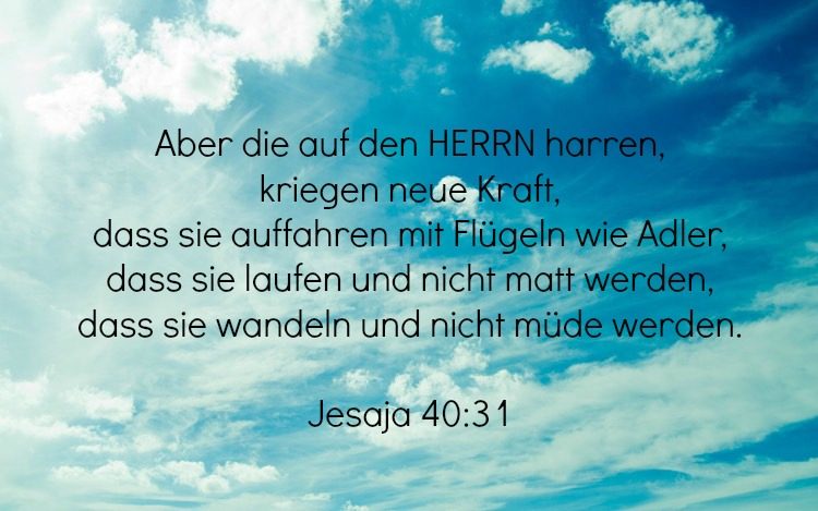 Singels Pforzheim / Freizeit und Hauskreis: Singels Pforzheim / Freizeit und Hauskreis