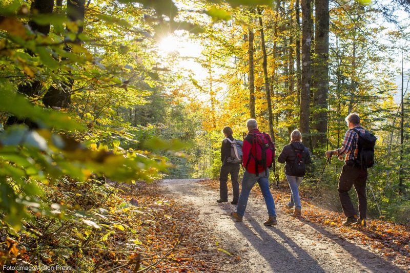 Wandern Ulm - RV: Wandern in der Natur