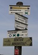Wer pilgert mit?: Pilgern