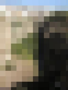 Aicha Zusatzbild #2