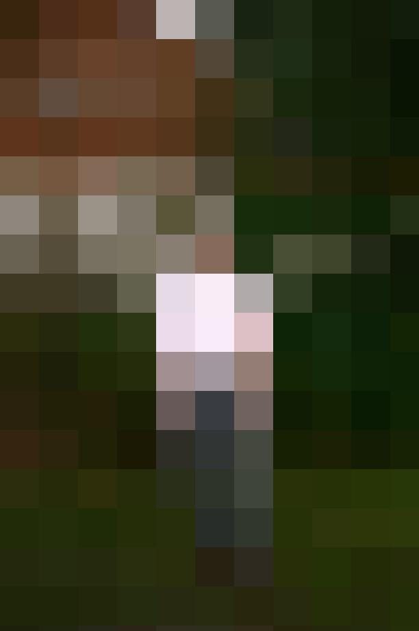 Kulti Profilbild