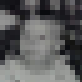 Ichthys37 Zusatzbild #1