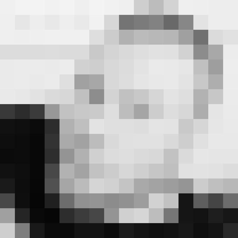 Ichthys37 Zusatzbild #4