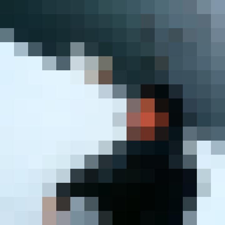 BlumeP Profilbild