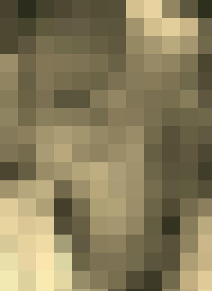 Apostelin Profilbild