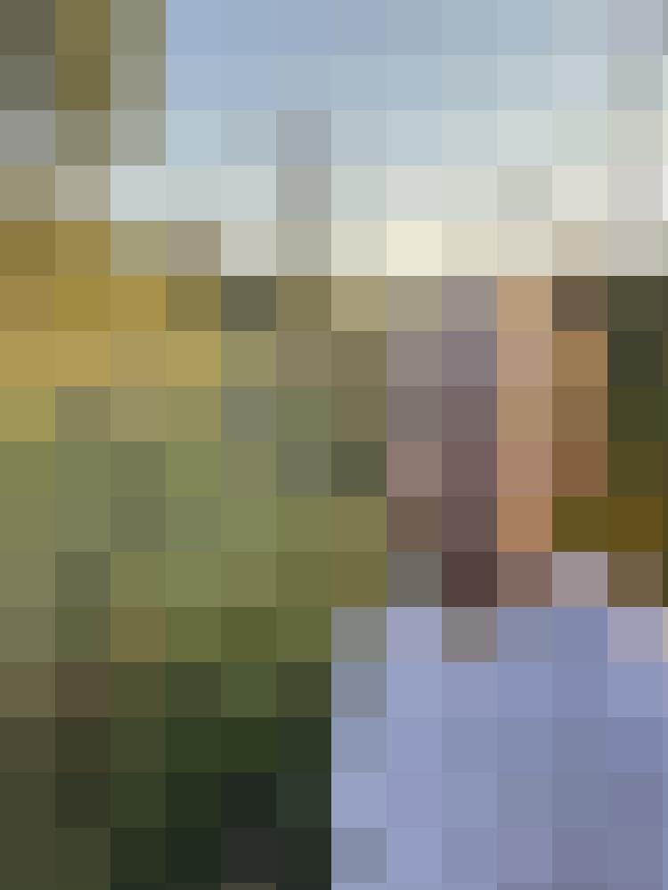 Sternekoch93 Zusatzbild #2