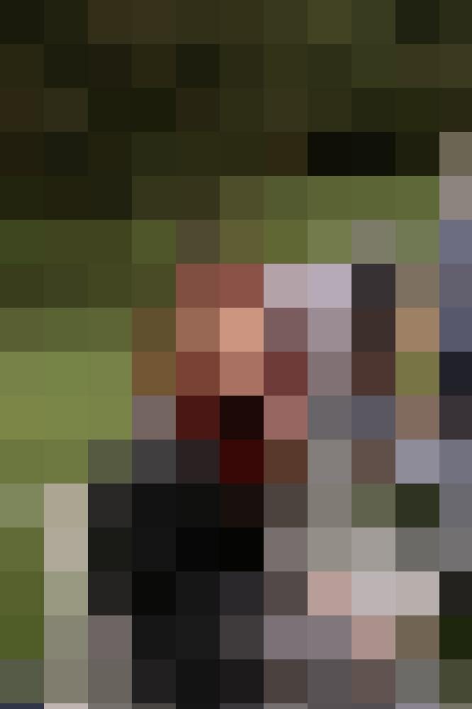 Lion_fight12 Profilbild