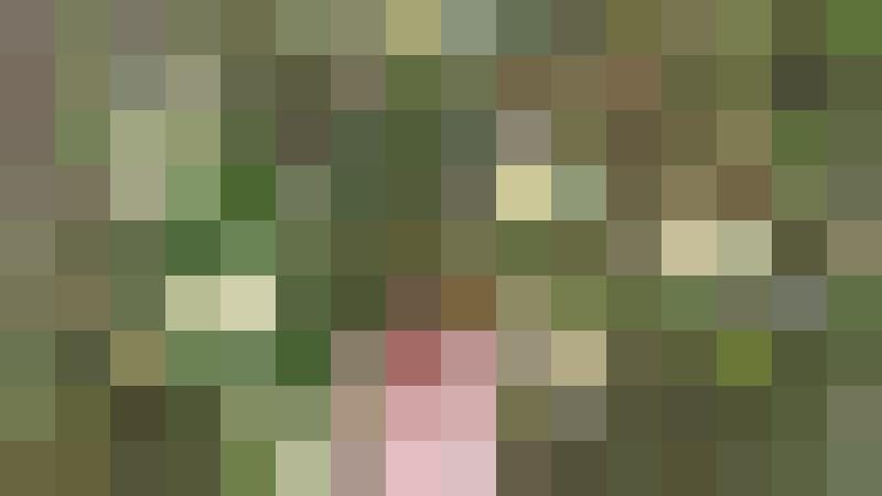 Lobe_den_Herren Zusatzbild #1
