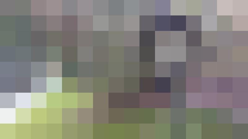 Lobe_den_Herren Zusatzbild #2