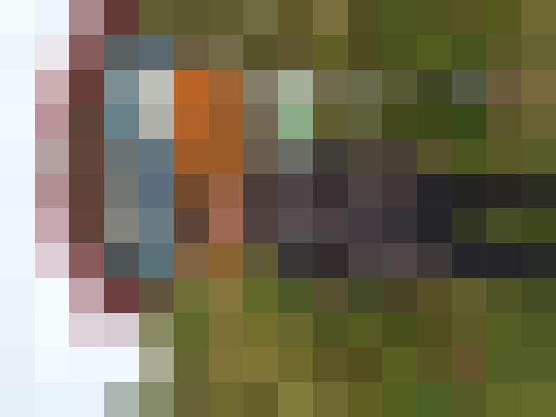 Spartaner81 Zusatzbild #2