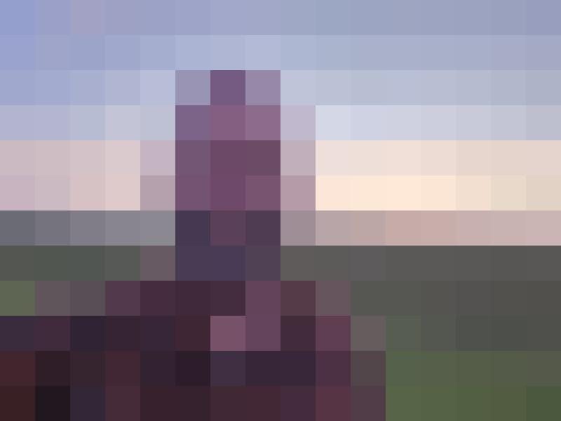 JasonSt Zusatzbild #3