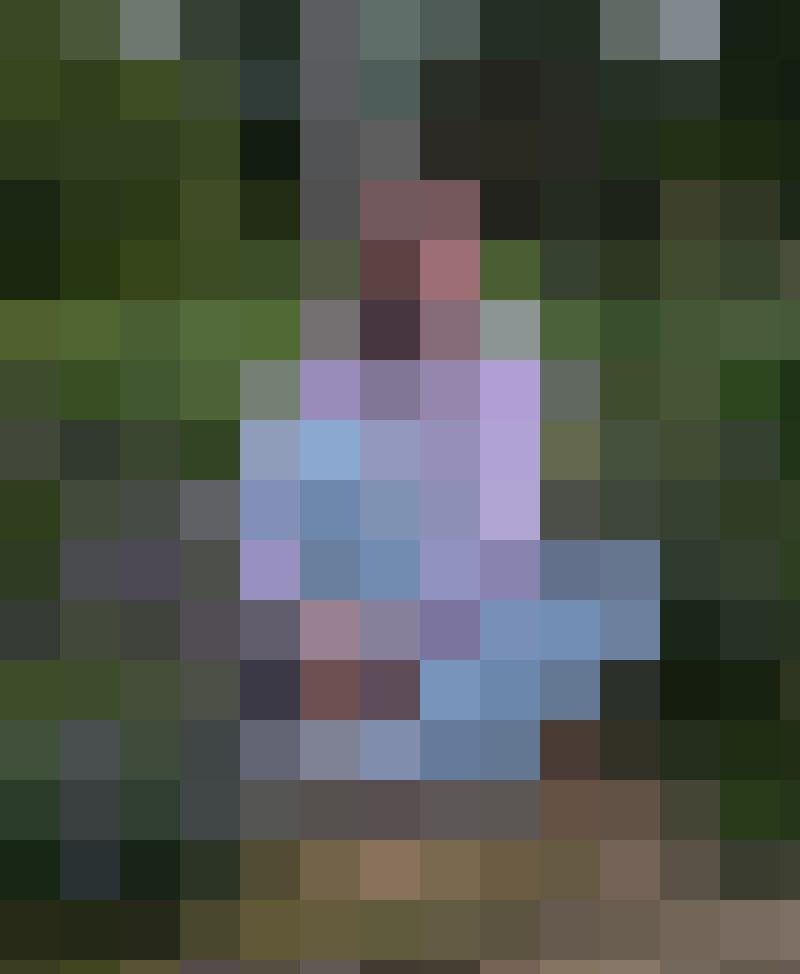 Caroleinsleben26 Profilbild