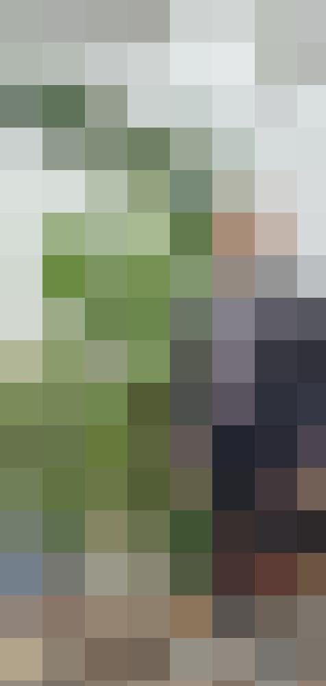 Sa.M.82 Zusatzbild #10