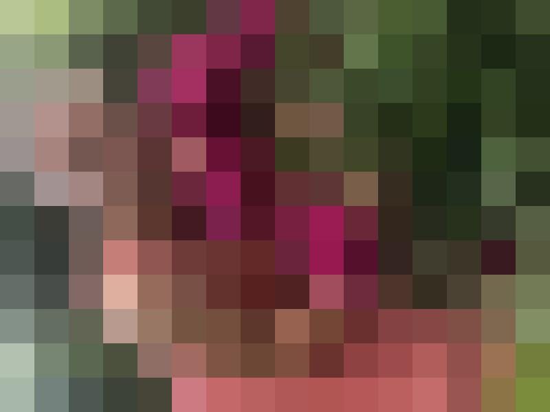 hausema Zusatzbild #1