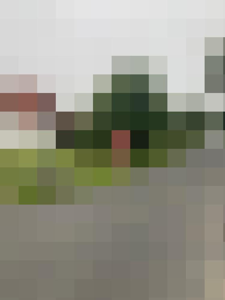 loewenstadtliebe Zusatzbild #1