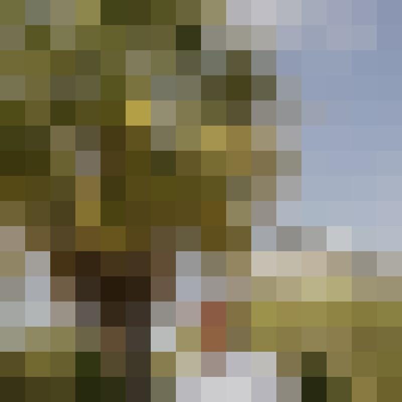 _Jonas Zusatzbild #1