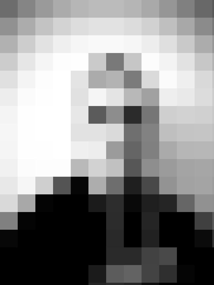 Tim_loewen Zusatzbild #3