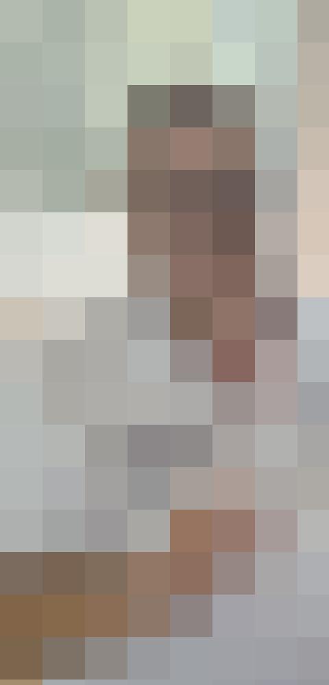 Studiofrosch Zusatzbild #11