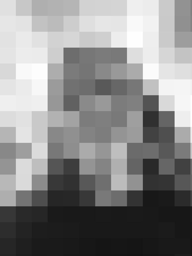 Bine88 Profilbild